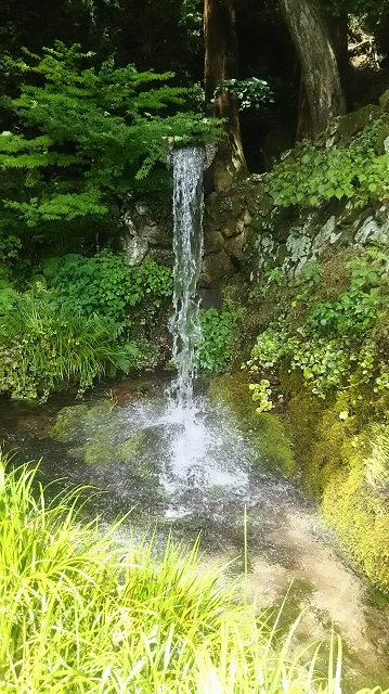 湧き水の写真