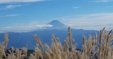 富士山の写真