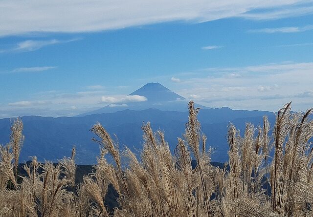 富士山の写真