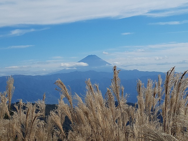 富士山の写真